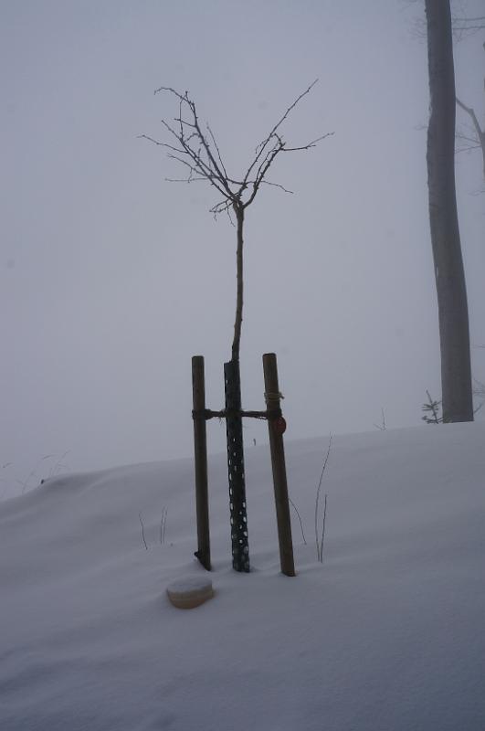 2013 02 16 A